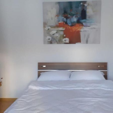 Urban Chic Apartment Orăştie Esterno foto